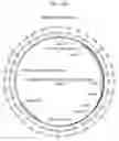 Fig. 05 - COMPOSITIONS AND METHODS FOR TREATING MACULAR DYSTROPHY