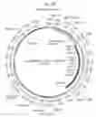 Fig. 07 - COMPOSITIONS AND METHODS FOR TREATING MACULAR DYSTROPHY