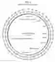 Fig. 09 - COMPOSITIONS AND METHODS FOR TREATING MACULAR DYSTROPHY