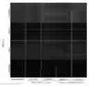 Fig. 23 - COMPOSITIONS AND METHODS FOR TREATING MACULAR DYSTROPHY