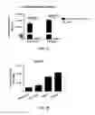 Fig. 02 - METHOD FOR ENHANCED NUCLEIC ACID TRANSFECTION USING A PEPTIDE