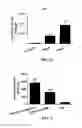 Fig. 03 - METHOD FOR ENHANCED NUCLEIC ACID TRANSFECTION USING A PEPTIDE