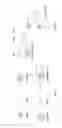 Fig. 06 - METHOD FOR MANUFACTURING A BIOCOMPATIBLE FLUID COMPRISING A POWDER OF MAGNETIC PARTICLES, BIOCOMPATIBLE FLUID COMPRISING A POWDER OF MAGNETIC PARTICLES