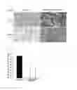 Fig. 02 - Polymer derivatives, and novel polymer derivative imaging probe using same