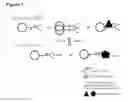 Fig. 02 - MOLECULAR SENSOR FOR NMR/MRI BASED ON ANALYTE-DEPENDENT SPECTRAL CHANGES OF TEMPORARILY ENCAPSULATED HYPERPOLARIZED 129XE