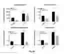Fig. 08 - Cartilage material having minimal hypertrophy and robust integration capacity, and uses therefor