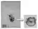 Fig. 01 - Apparatus for High-Throughput Rapid Trapping of Circulating Tumor Cells and Method for Purifying Circulating Tumor Cells