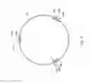 Fig. 06 - Cutting balloon basket