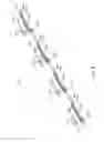 Fig. 10 - Cutting balloon basket