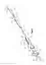 Fig. 06 - Bipolar bone anchor with connection for electrostimulation