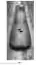 Fig. 08 - Reduced contact length snowboards and splitboards