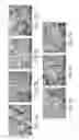 Fig. 09 - Solid, hydrophobic aggregators and methods of making and using the same
