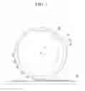 Fig. 02 - Selective transfer roll stamp