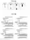 Fig. 07 - Drying device, non-transitory computer readable medium for drying and image forming apparatus