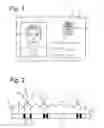 Fig. 02 - Security document with positive and negative authentication tilt images