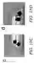 Fig. 35 - Three-dimensional (3D) printing of graphene materials