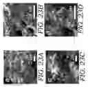 Fig. 43 - Three-dimensional (3D) printing of graphene materials