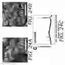 Fig. 45 - Three-dimensional (3D) printing of graphene materials
