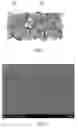 Fig. 02 - CONTROLLED-RELEASE OF FERTILIZER COMPOSITIONS AND USES THEREOF