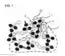 Fig. 02 - Compound and intermediate thereof