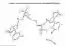 Fig. 01 - Crystalline forms and processes for the preparation of cannabinoid receptor modulators