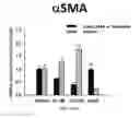 Fig. 35 - Heterocyclic modulators of lipid synthesis