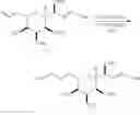 Fig. 197 - Macrocyclization reactions and intermediates and other fragments useful in the synthesis of halichondrin macrolides