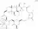 Fig. 25 - Macrocyclization reactions and intermediates and other fragments useful in the synthesis of halichondrin macrolides
