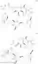 Fig. 77 - Macrocyclization reactions and intermediates and other fragments useful in the synthesis of halichondrin macrolides