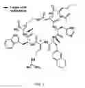 Fig. 02 - Modulators of melanocortin receptors
