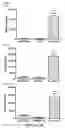 Fig. 05 - Extracellular matrix metalloproteinase inducer (EMMPRIN) peptides and binding antibodies