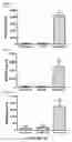 Fig. 08 - Extracellular matrix metalloproteinase inducer (EMMPRIN) peptides and binding antibodies