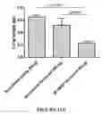 Fig. 19 - Extracellular matrix metalloproteinase inducer (EMMPRIN) peptides and binding antibodies