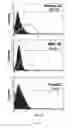 Fig. 09 - Recombinant protein-based method for the delivery of silencer RNA to target the brain