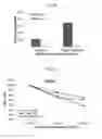 Fig. 06 - Compositions and methods to treat solid tumors