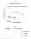 Fig. 08 - Compositions and methods to treat solid tumors