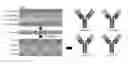 Fig. 01 - DEGLYCOSYLATED ANTIBODY SPECIFICALLY BINDING TO CLEC14A AND USES THEREOF