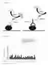 Fig. 28 - DEGLYCOSYLATED ANTIBODY SPECIFICALLY BINDING TO CLEC14A AND USES THEREOF