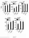 Fig. 08 - Methods for promoting t cells response by administering an antagonist of human c-type lectin-like receptor 1 (CLEC-1)