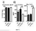 Fig. 09 - Methods for promoting t cells response by administering an antagonist of human c-type lectin-like receptor 1 (CLEC-1)