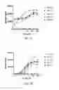 Fig. 07 - Compositions and methods comprising anti-NRP2 antibodies