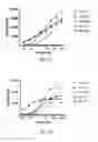 Fig. 08 - Compositions and methods comprising anti-NRP2 antibodies