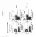 Fig. 05 - Anti-GITR antibodies and methods of use thereof