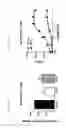 Fig. 25 - Anti-GITR antibodies and methods of use thereof
