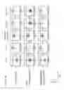 Fig. 56 - Anti-GITR antibodies and methods of use thereof