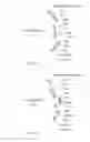 Fig. 11 - MODIFIED ANTIGEN-BINDING FAB FRAGMENTS AND ANTIGEN-BINDING MOLECULES COMPRISING THE SAME
