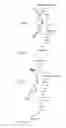 Fig. 12 - MODIFIED ANTIGEN-BINDING FAB FRAGMENTS AND ANTIGEN-BINDING MOLECULES COMPRISING THE SAME