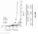 Fig. 50 - Cell engaging binding molecules