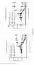 Fig. 52 - Cell engaging binding molecules
