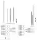 Fig. 02 - Cell engaging binding molecules